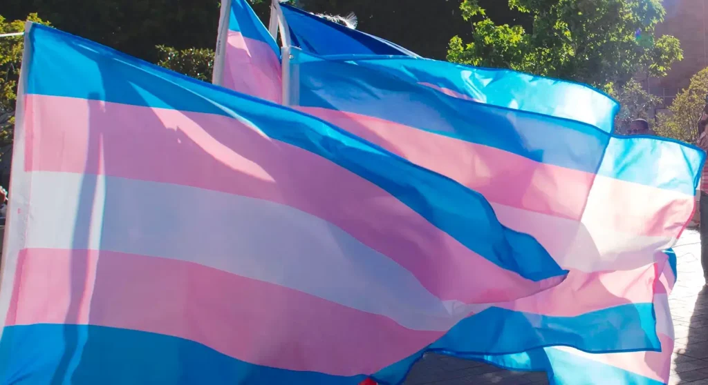 Photo of trans pride flags. Gender dysphoria article.