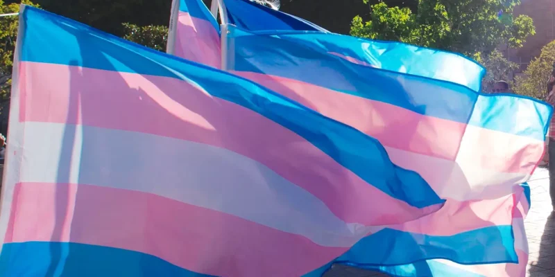 Photo of trans pride flags