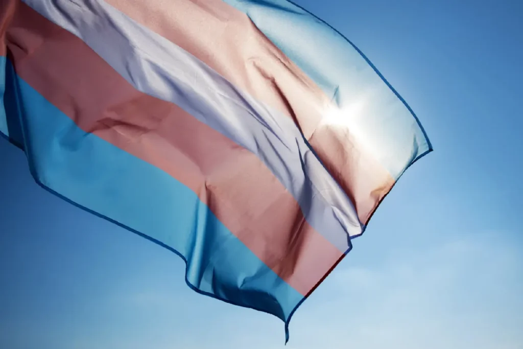 Photo of a trans pride flag (Blue, pink, white, pink, blue)