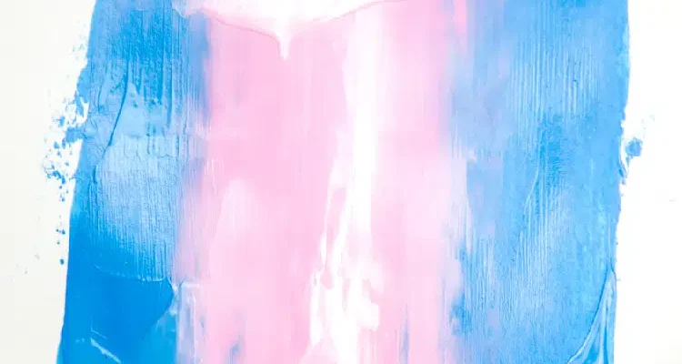 Trans pride colors (Blue, pink, white, pink, blue) in paint