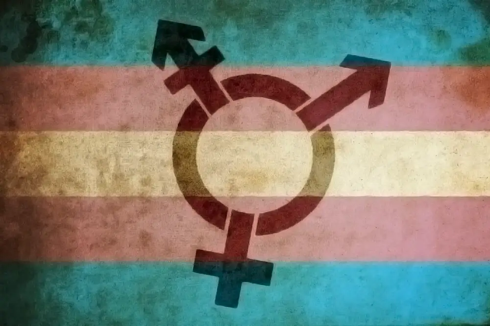 Trans pride colors (Blue, pink, white, pink, blue) overlaid over a transgender symbol