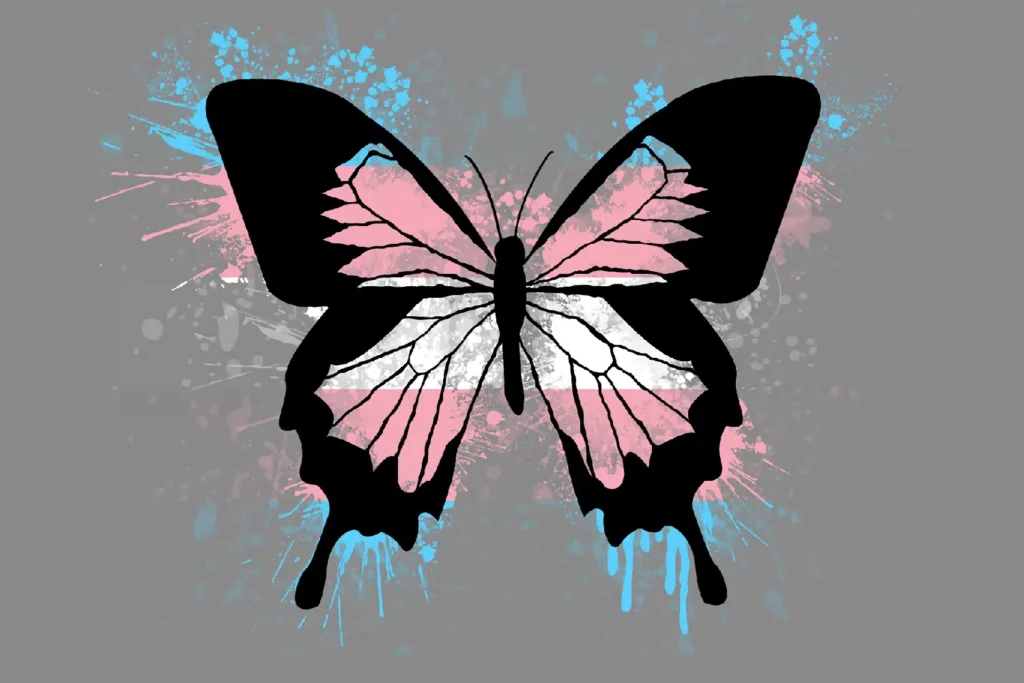 Trans Pride colors (Blue, pink, white, pink, blue) paint splats with a black butterfly pattern over it