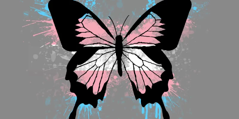 Trans Pride colors (Blue, pink, white, pink, blue) paint splats with a black butterfly pattern over it